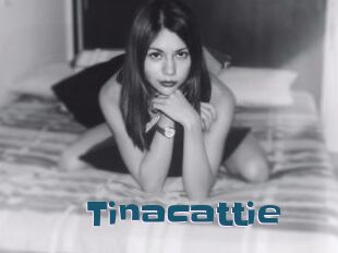 tinacattie Gang Bangs