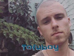 Tofu_boy