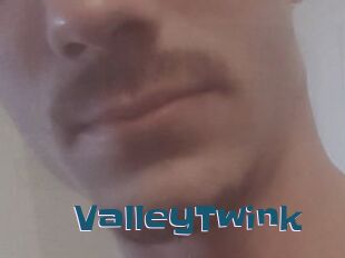 ValleyTwink