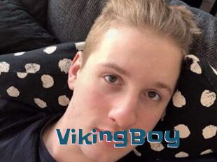 VikingBoy