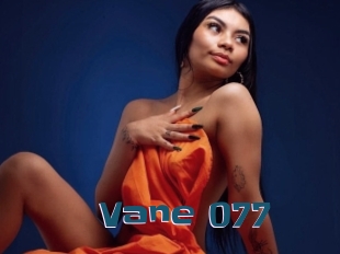 Vane_077