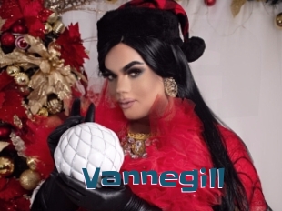 Vannegill