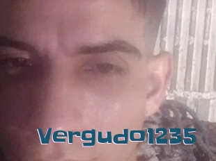 Vergudo1235