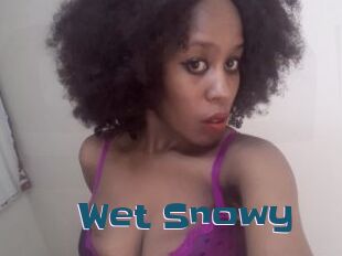 Wet_Snowy