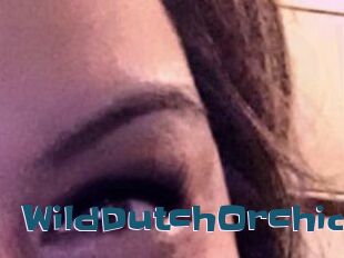 WildDutchOrchid