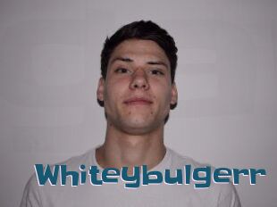 Whitey_bulgerr