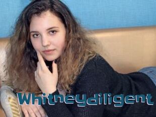 Whitneydiligent