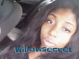 Willow_secret