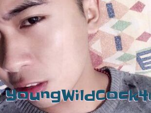 YoungWildCock4u