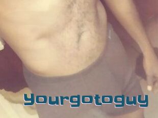 Yourgotoguy