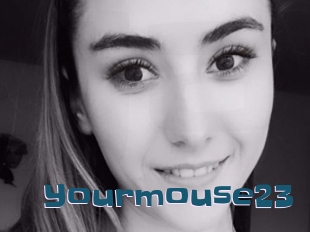 Yourmouse23