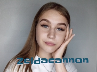 Zeldacannon