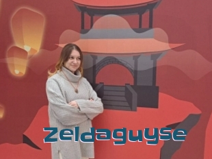 Zeldaguyse